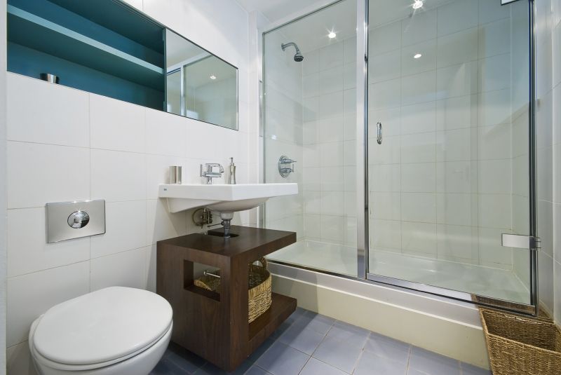 Contemporary Shower Interior
